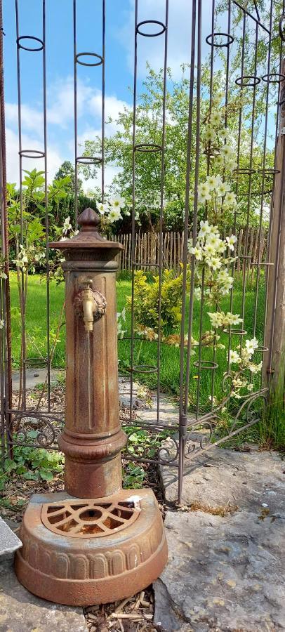 Au Coquelicot : Gite Cosy Pour 8 Pers. Avec Jardin Ath Zewnętrze zdjęcie